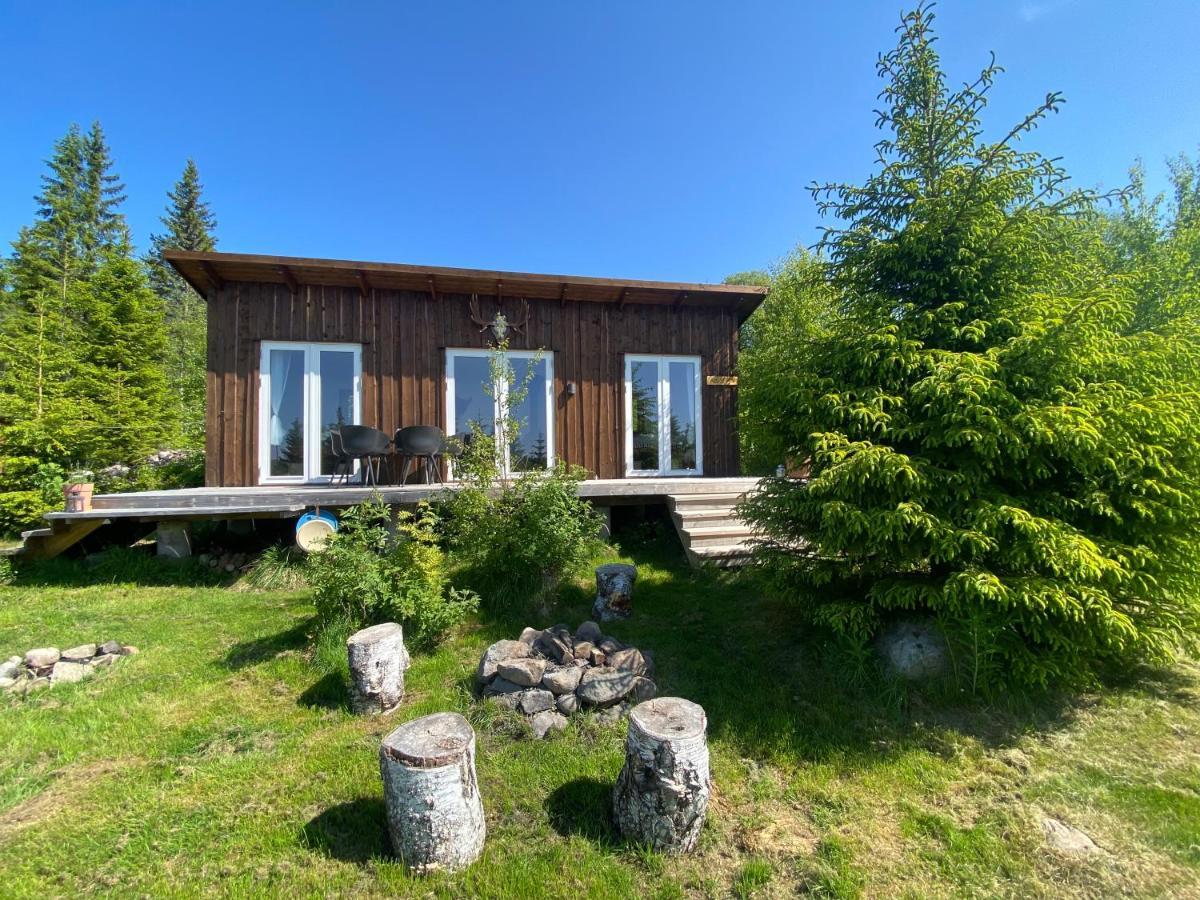Cozy Forest Cabin With Amazing Mountain View Torsby Dış mekan fotoğraf