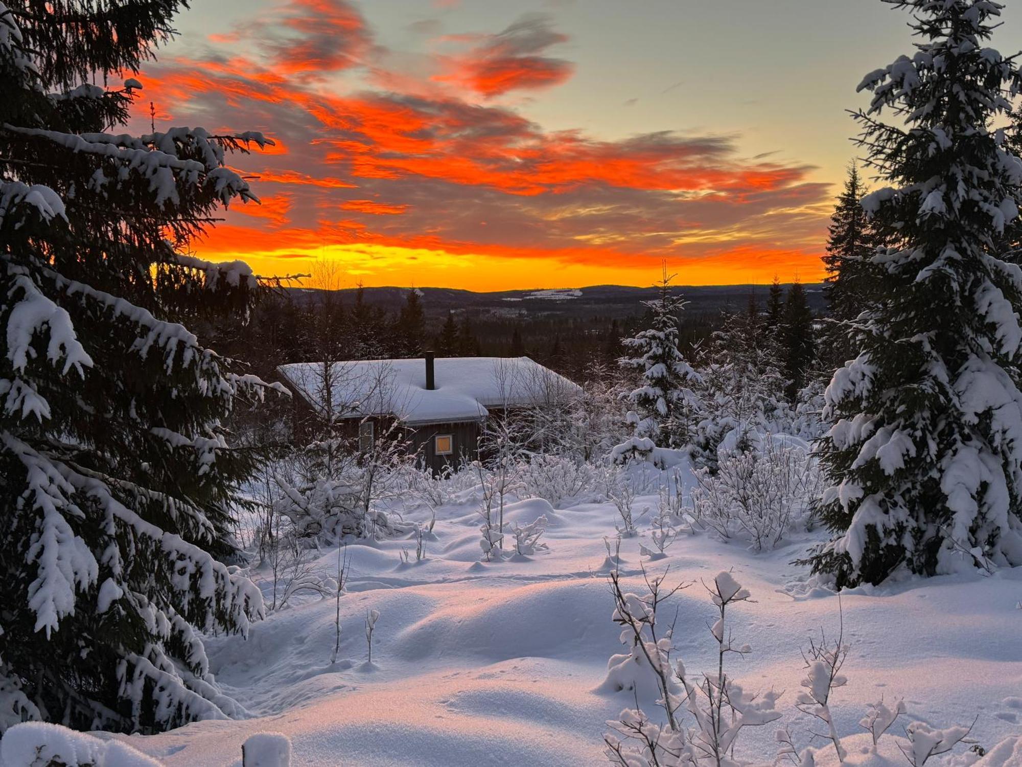 Cozy Forest Cabin With Amazing Mountain View Torsby Dış mekan fotoğraf