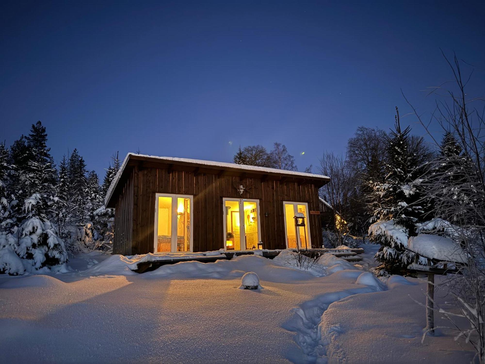 Cozy Forest Cabin With Amazing Mountain View Torsby Dış mekan fotoğraf