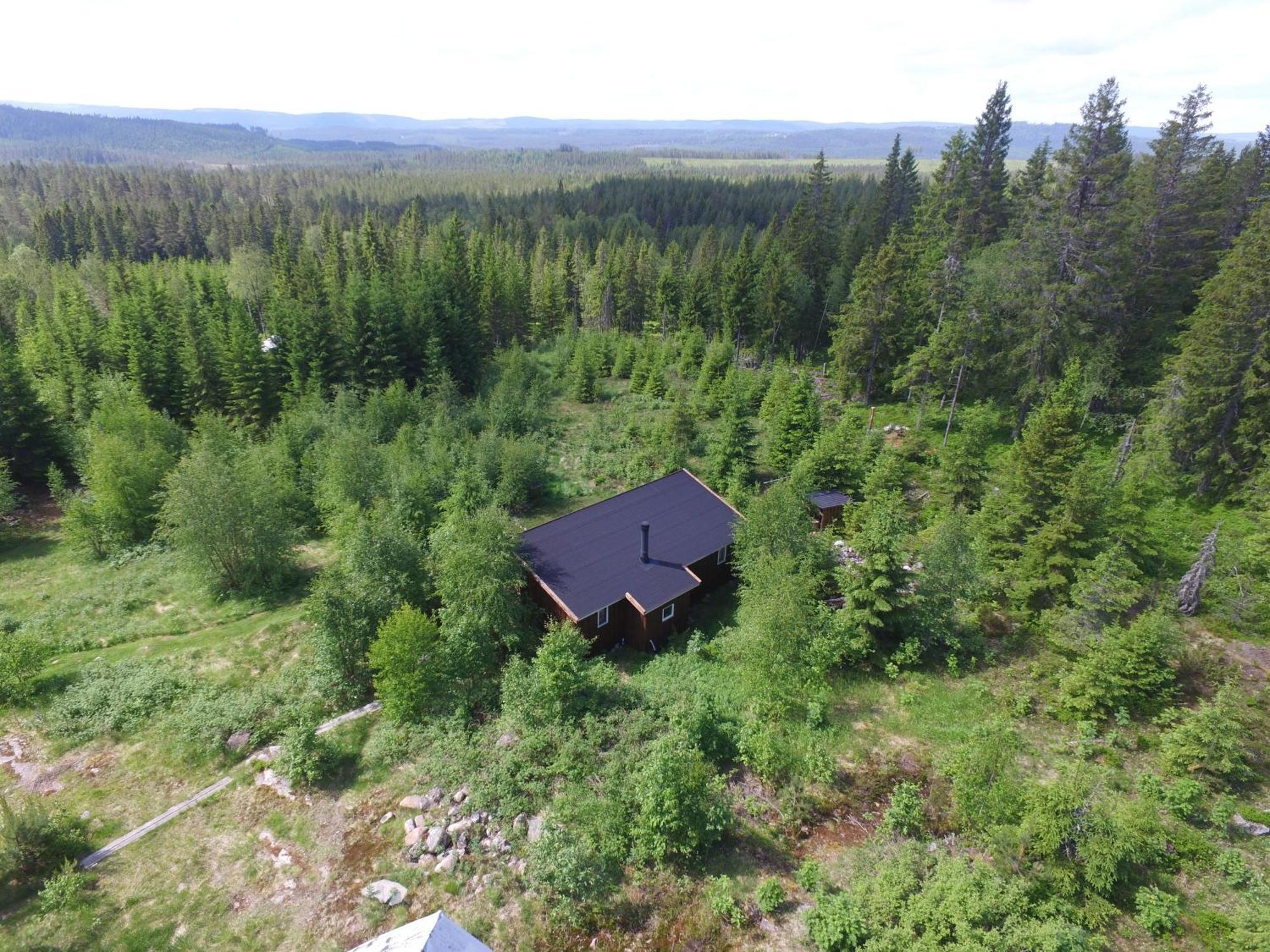 Cozy Forest Cabin With Amazing Mountain View Torsby Dış mekan fotoğraf